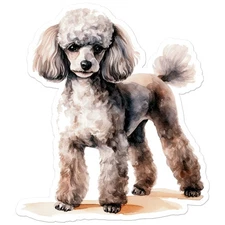 Poodle Dog Puppy - Vinyl Decal Sticker - Car Window Laptop - ebn11391