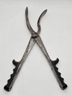 Antique 1800's U.S. Civil War Mathieu Paris Surgeon Doctor's Cranioclast Forceps