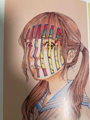 Shintaro Kago Art Japan Book Shishi Ruirui New Edition Illustration Collection - Picture 9 of 12