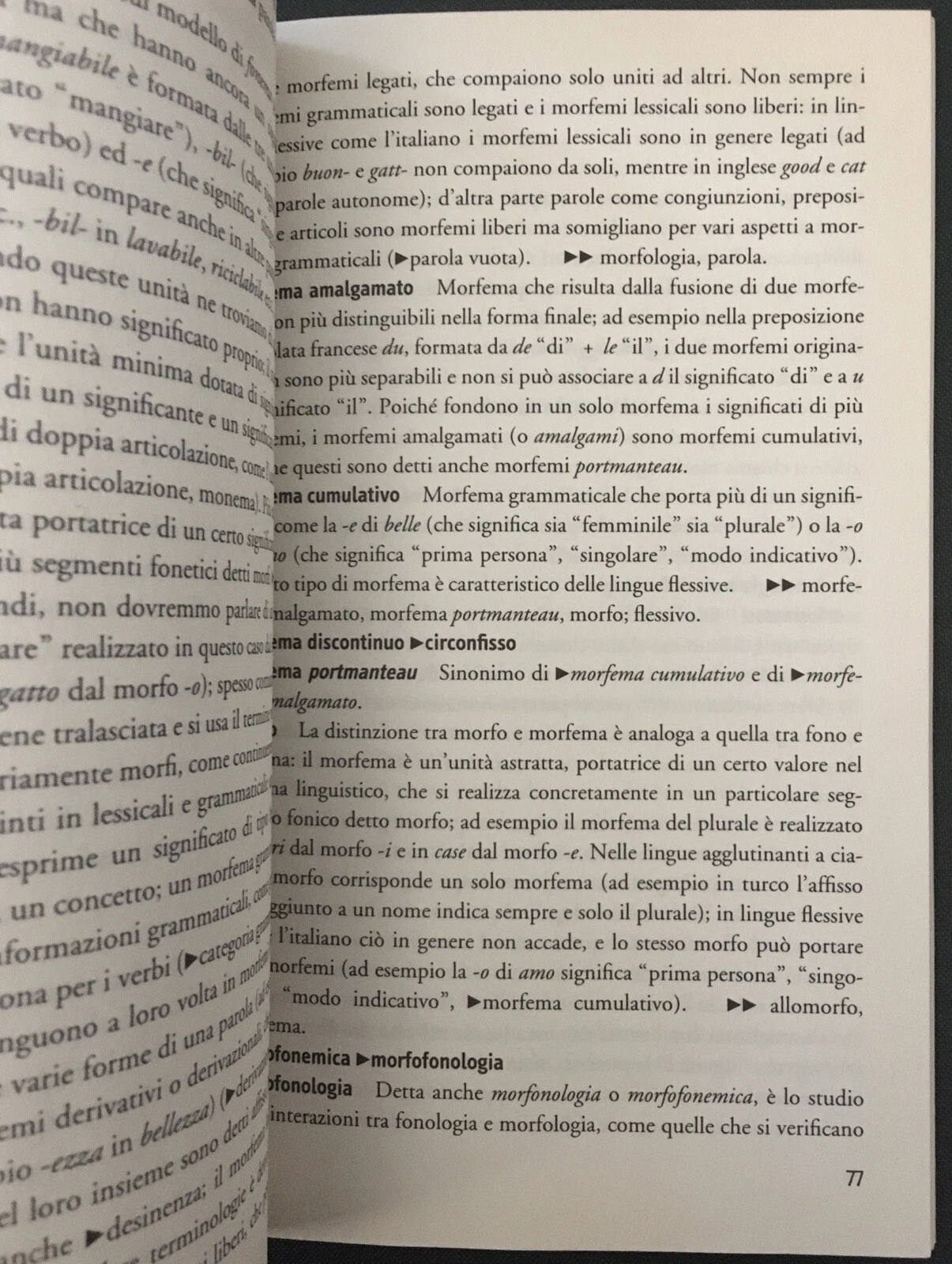 Foto 6 di 8
