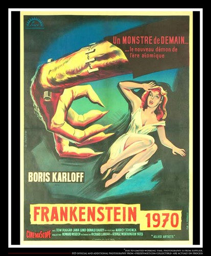 FRANKENSTEIN 1970 Karlof French Medium Vintage Movie Poster Original 1958