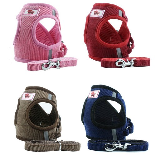 Imbracatura per Cani Gatti Cuccioli + Guinzaglio di Piombo Qualità Pet Mesh Gilet Riflettente Regolabile - Foto 2 di 19
