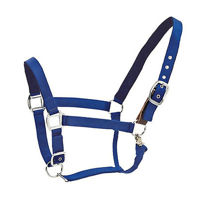 Centaur Solid Cushion Padded Breakaway Halter