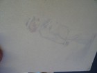 Bild 8 von 8