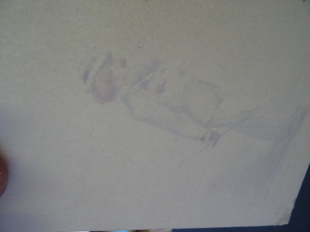 Picture 8 of 8