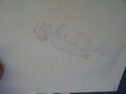 FRENCH SCHOOL 19thC - STUDY OF BIRDS - MAGNIFICENT WATERCOLOR - Picture 8 of 8