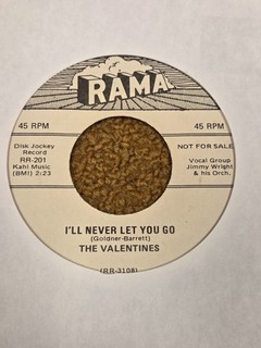 45 RPM Valentines RAMA DJ 201 I'll Never Let you GO RE M