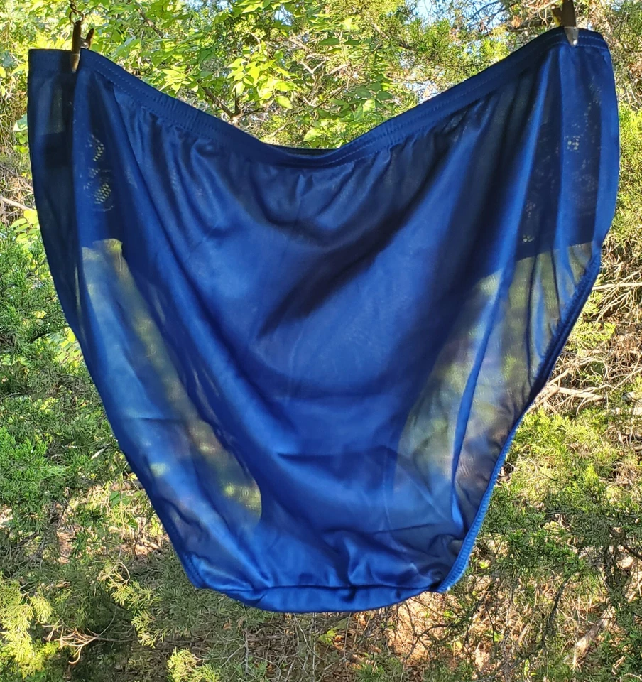 Panty de Bikini Shadowline Floral ENCAJE Brillante Nylon Sedoso 6/M AZUL 11182 Lo último Foto 4 de 4