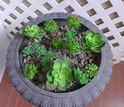 13 Miniature Artificial Succulents Grasses Home Garden Doll House Decor