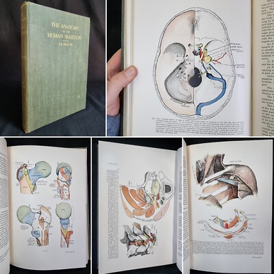1933 [4to] Die Anatomie des menschlichen Skeletts 218 MEDIZINISCHE ILLUSTRATIONEN