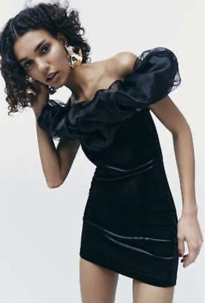 Zara mini top organza dress