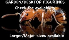 How To Care Video For The Rarer Ant Monomorium Latastei In Test Tube Queen Nest