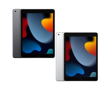 Apple iPad 9th Gen 64GB Wi-Fi  4G Unlocked 10.2'' Gray / Silver - Excellent