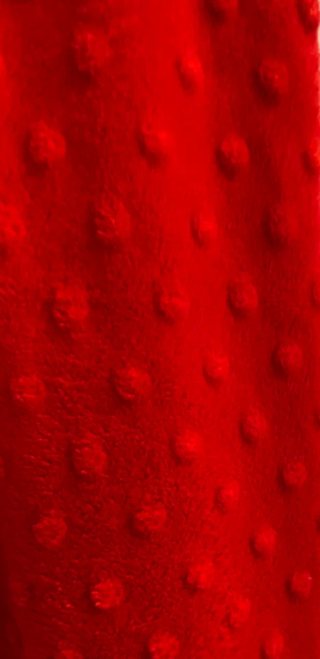 Vestido de inverno confortável Kellys Kids meninas tamanho 7/8 tecido minky vermelho TÃO MACIO! Excelente estado usado - Imagem 3 de 4