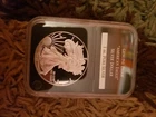 2013-W Proof American Silver Eagle Coin  - One Troy oz .999 Bullion