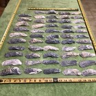 Lot of  64  Atlantic Oyster Slipper  Shells 4 To 5 1/4  Inch Long Crafts — photo 3