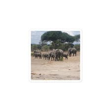 „Elephant Family Bubble-Free Sticker – Safari Tanzania Kids Fun“