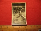 World War 2 WW2 Original photo German military Wehrmacht axe splitting logs #353