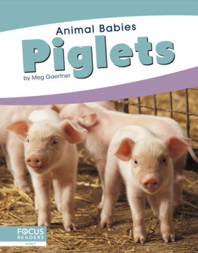 Thumbnail - Animal Babies: Piglets By Gaertner, Meg