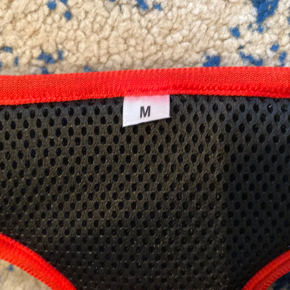 Dog Harness And Leash Set With Bonus Frisbee Toy!!! Brand New Must See!!! Size M Dog Harness And Leash Set With Bonus Frisbee Toy!!! Brand New Must See!!! Size M