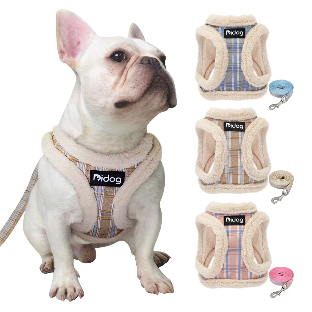 LV harness & leash set – The Frenchie Shop