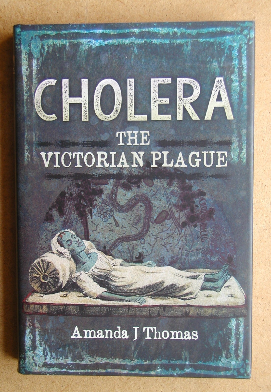 Cholera: The Victorian Plague. By Amanda J Thomas. 2015 HB in DJ. Illustrated