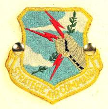 USAF US Air Force Strategic Air Command SAC Full Color Insignia Badge Patch 