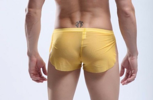 ZONBAILON Ropa Interior para Hombre Sexy Perspectiva Malla Alta Ranura Corta Boxer Genial Verano - Imagen 5 de 16