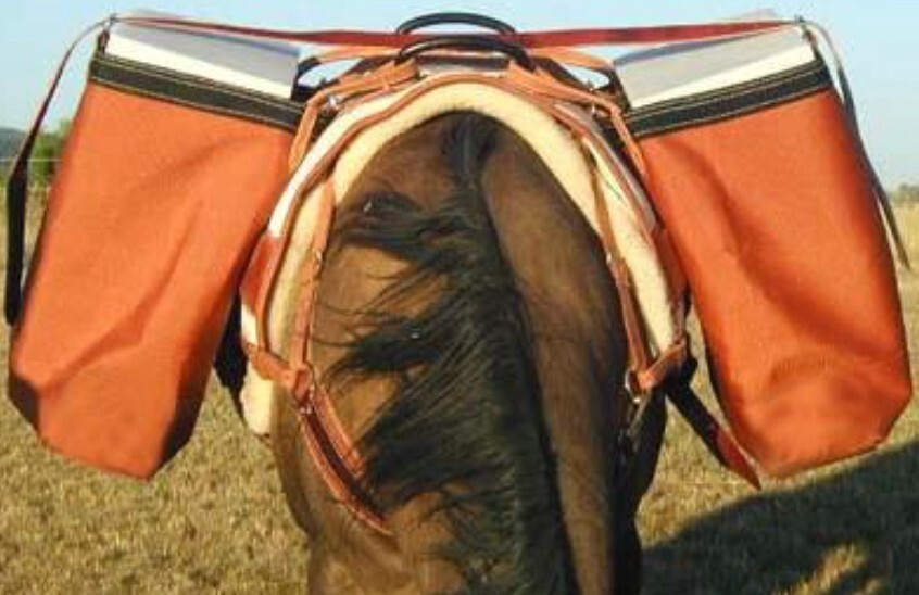 Utah Panniers Iron Cloth (Orange) or Canvas (White) eBay