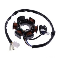 Lichtmaschine Komplett, Strator 6 Spulen FüR Buffalo/Quelle RS 1100 125 Bj. 2009
