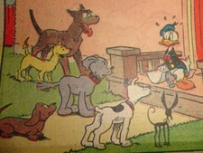 DONALD DUCK MICKEY MOUSE Sunday Full 1.3.1942 Taliaferro Striptiz Hołd