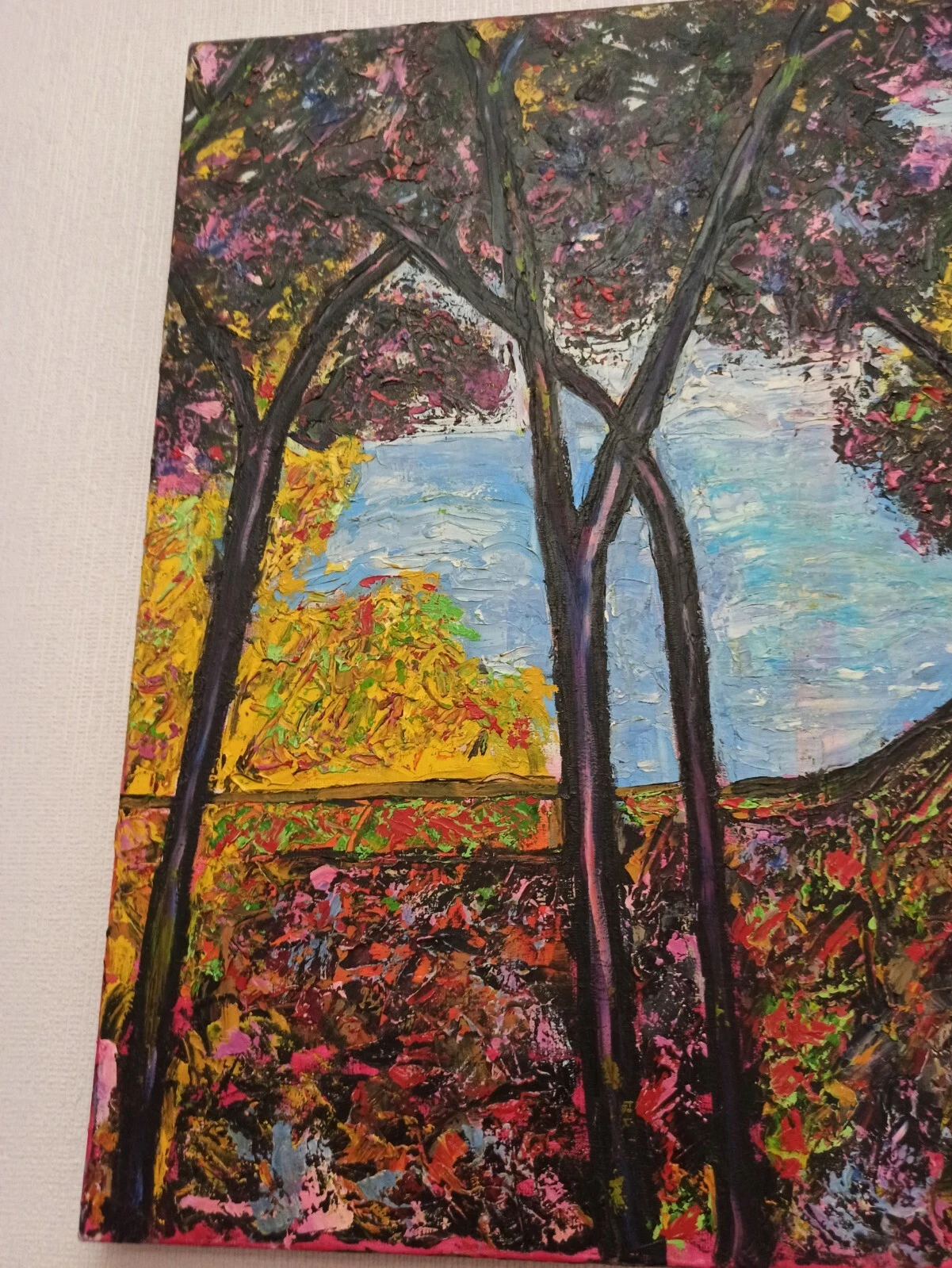 Picture 9 of 12
