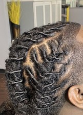 Real Locs Well Taken Cared of Dreadlocks