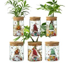 Christmas Vase, Christmas Themed Propagation Stations, Glass Propagation Vases f