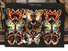 Victorain Die Cut Butterfly Scraps Glued on Paper - Double Sided - L9