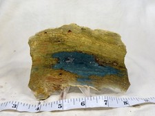 A+ Old Stock Larsonite(Gary Green, Freedom) Jasper Bogwood Slab, Lot#73