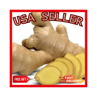 Ginger 1 LB Whole Fresh Wild  Raw Actual Root Jenjibre Organic Spice USA SELLER