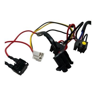 Yamaha 12 volt raptor best sale battery powered ride on