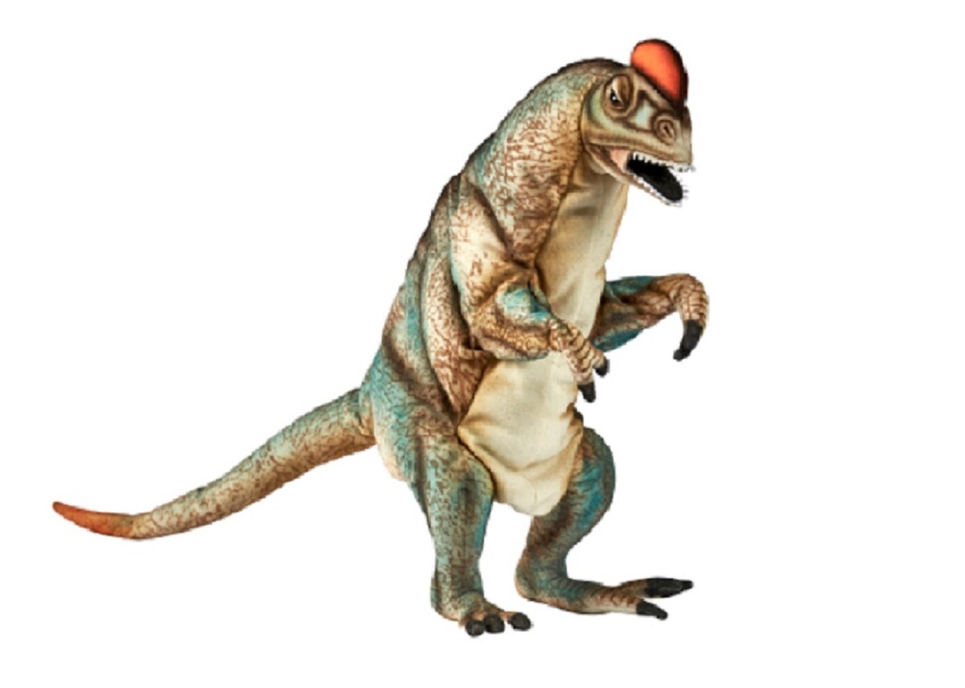 Hansa Toy 7754 Dilophosaurus 35 Cm Hand Puppet Plush Toy