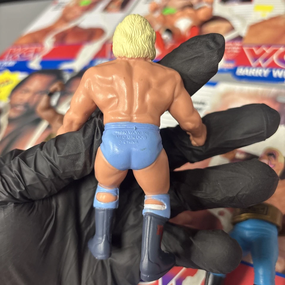 Lote de 12 figuras de lucha libre WCW Galoob de colección conjunto de luchador Reino Unido con tarjetero 10 cinturón Foto 3 de 4