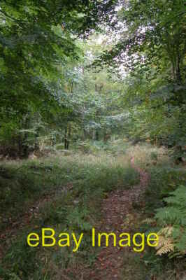 Trense aus Pfannenholz Der Großteil dieses Quadrats ist woodla c2005