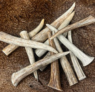 5 Pack - Premium *A* Grade - Deer Antler Crafting Tips (Choose Size)
