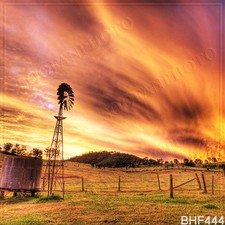 Autumn 10'x10'Computer-painted Indoor Scenic Photo Background Backdrop BHF444