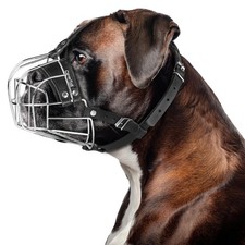 CleverTail Metal Muzzle for Boxer Dog Breed Large, Silver Wire  Black Straps