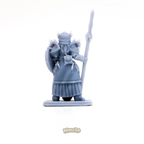 Valkiria - HQ Dungeon - Minis3D - Imagen 8 de 18