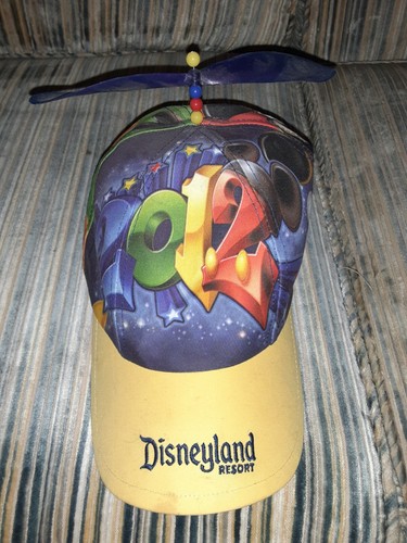 2012 Disney World propeller hat 