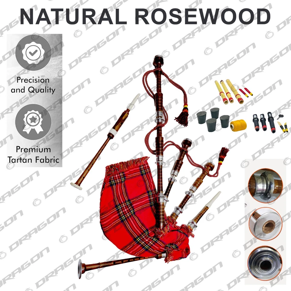 Parches de cocodrilo Lacoste | Logo bordado - Planchar/coser | Paquete de 2 Foto 4 de 4