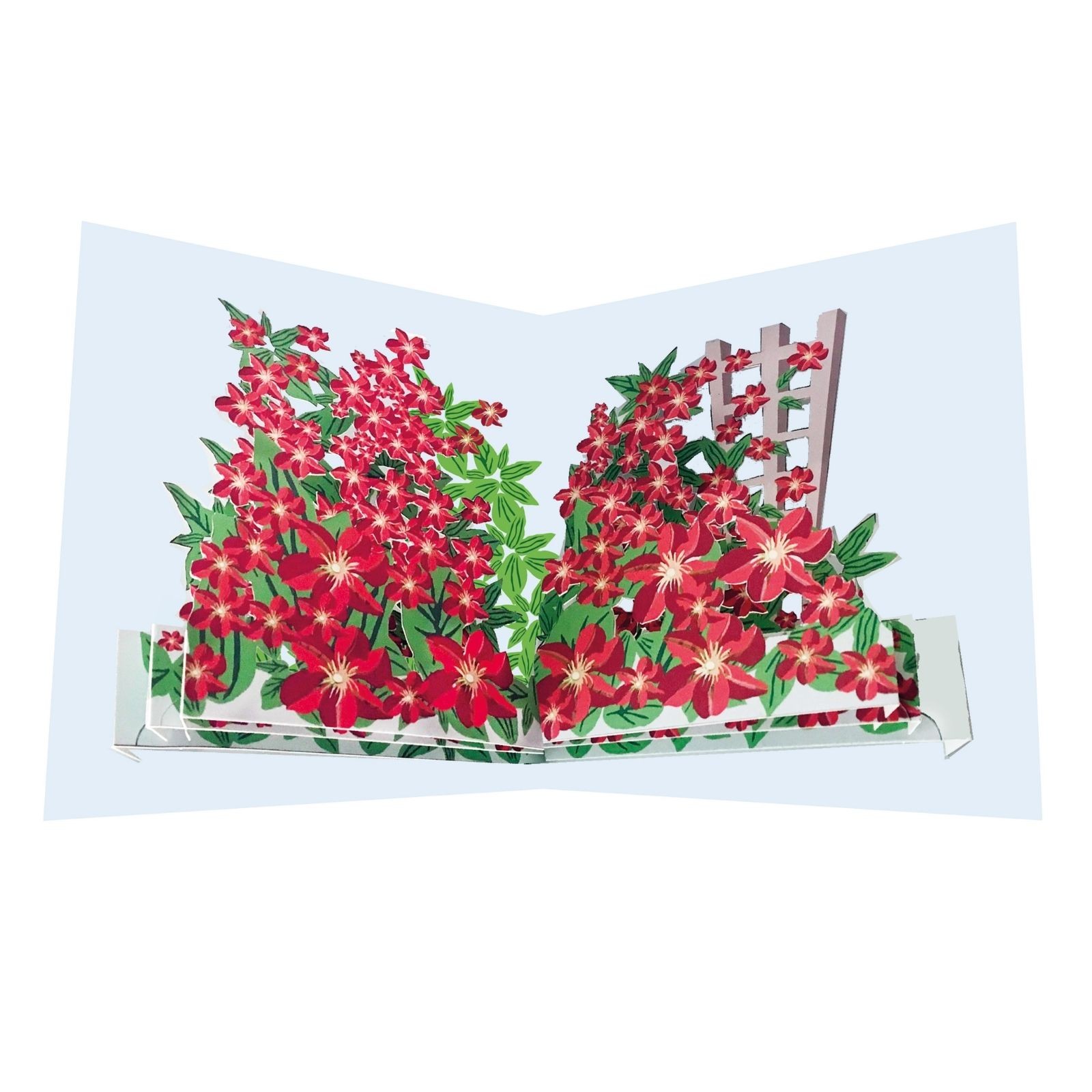 2toTango 3D Pop Up Card Flowering Clematis Greeting Card Any Occasion