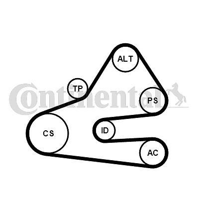 Set di cinghie Poly-V CONTINENTAL 6PK1613K1 per Audi, VW