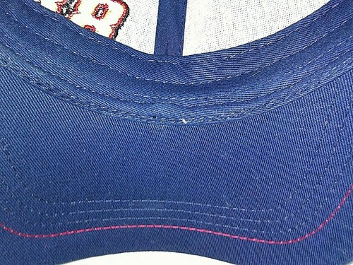 Dale Earnhardt Jr 88 Valvoline Nascar gorra de béisbol/carrera sombrero malla trasera a presión - Imagen 8 de 8
